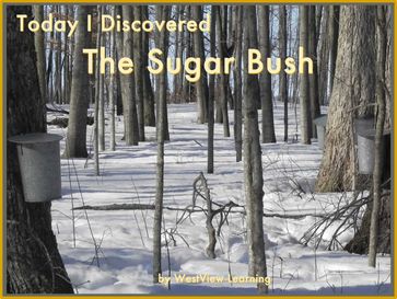 Today I Discovered The Sugar Bush - Heather Stannard - Kelly Janzen