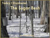 Today I Discovered The Sugar Bush