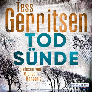 Todsünde - Tess Gerritsen