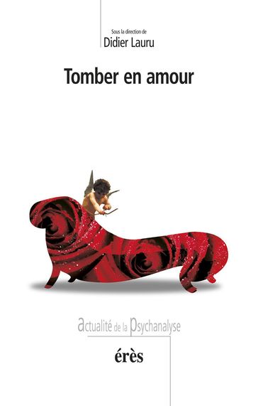 Tomber en amour - Didier Lauru
