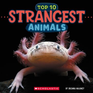 Top Ten Strangest Animals (Wild World) - Brenna Maloney