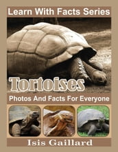 Tortoises Photos and Facts for Everyone
