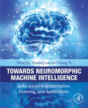 Towards Neuromorphic Machine Intelligence