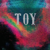 Toy