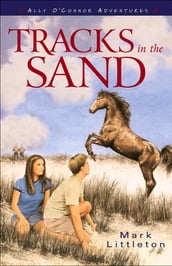 Tracks in the Sand (Ally O Connor Adventures Book #1)