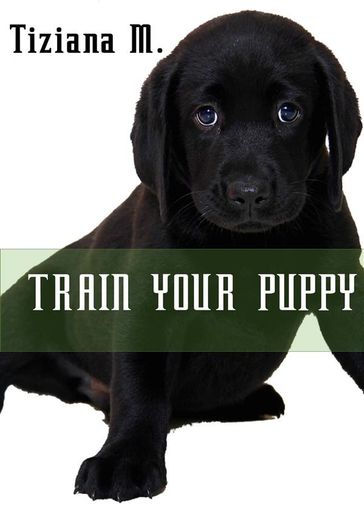 Train Your Puppy - Tiziana M.