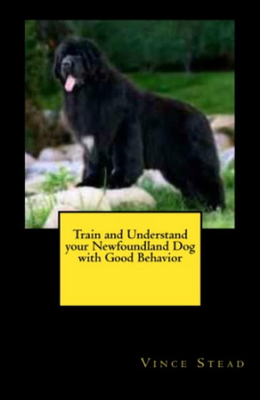 Train and Understand your Newfoundland Dog with Good Behavior - Vince Stead