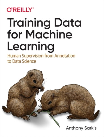 Training Data for Machine Learning - Anthony Sarkis