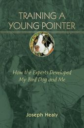 Training a Young Pointer