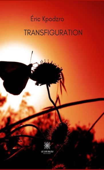 Transfiguration - Eric Kpodzro