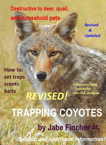 Trapping Coyotes - Jr Jabe Fincher
