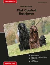 Traumrasse Flat Coated Retriever