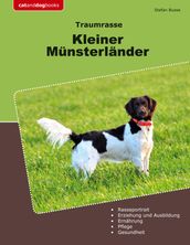 Traumrasse Kleiner Münsterländer