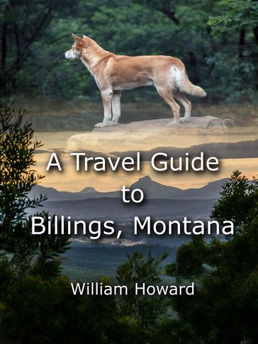 A Travel Guide to Billings, Montana - William Howard