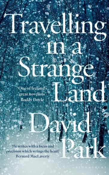 Travelling in a Strange Land - David Park
