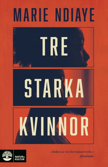 Tre starka kvinnor - Marie NDiaye