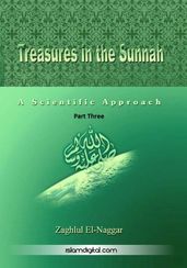 Treasures in the Sunnah 3
