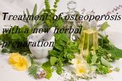 Treatment of osteoporosis with a new herbal preparation