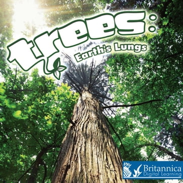 Trees: Earth's Lungs - Barbara Webb