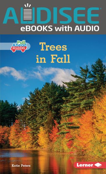 Trees in Fall - Katie Peters