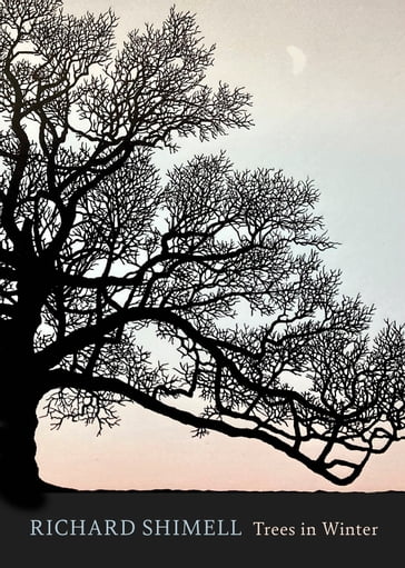 Trees in Winter - Richard Shimell