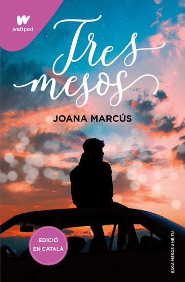 Tres mesos (Mesos amb tu 3) - Joana Marcús