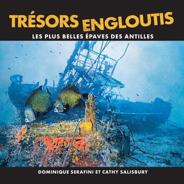 Trésors Engloutis - Dominique Serafini - Cathy Salisbury