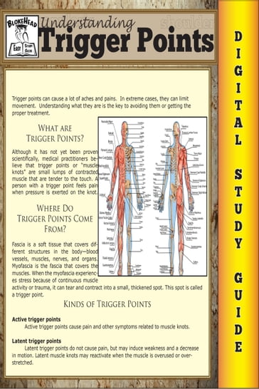 Trigger Points (Blokehead Easy Study Guide) - The Blokehead
