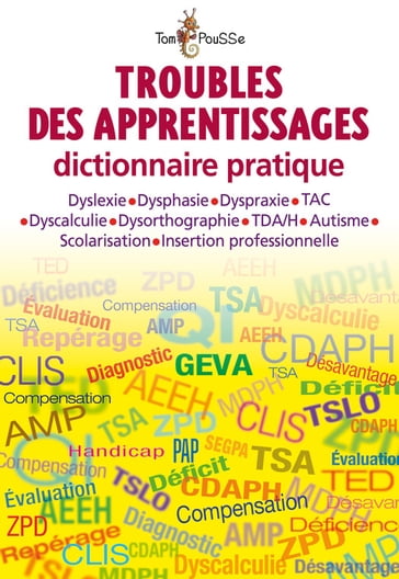 Troubles des apprentissages Dictionnaire pratique - Jérôme Bessac