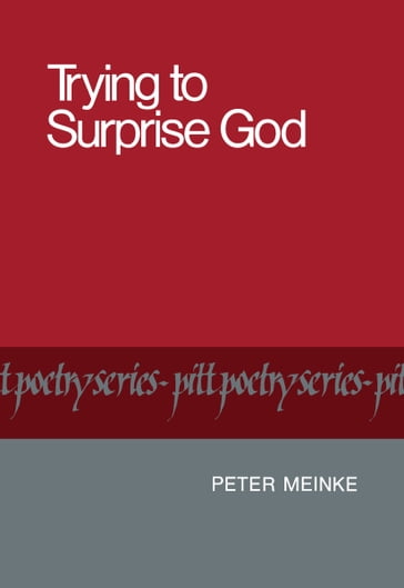 Trying to Surprise God - Peter Meinke