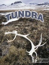 Tundra