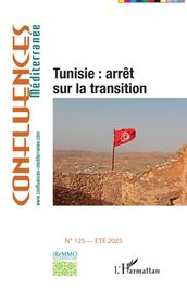 Tunisie : arrêt sur la transition