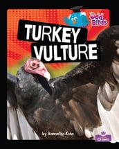 Turkey Vulture