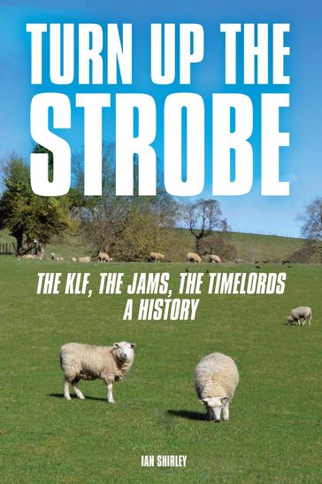 Turn Up The Strobe - Ian Shirley