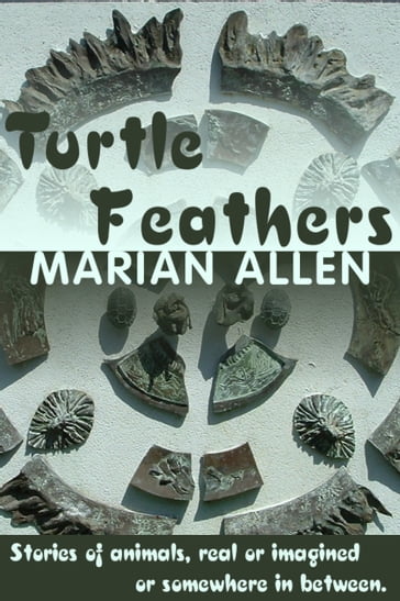 Turtle Feathers - Marian Allen
