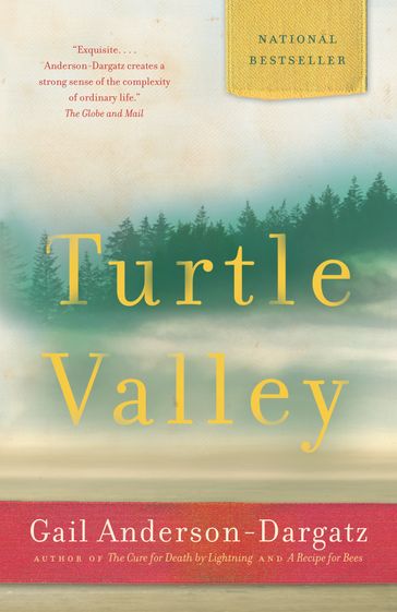 Turtle Valley - Gail Anderson-Dargatz