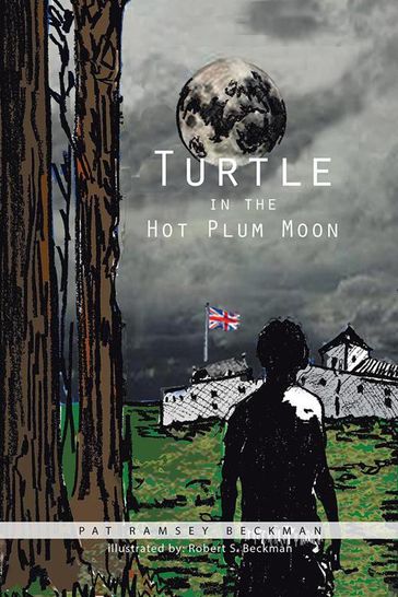 Turtle in the Hot Plum Moon - Pat Ramsey Beckman
