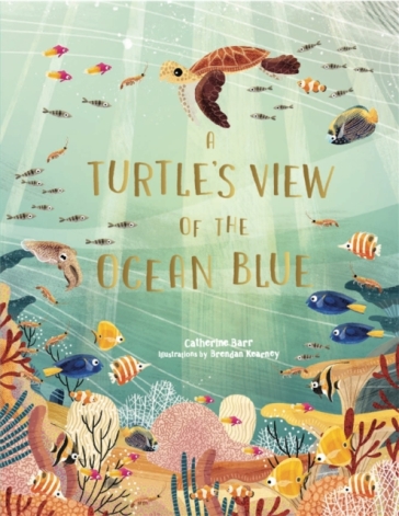 A Turtle's View of the Ocean Blue - Catherine Barr