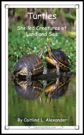 Turtles: Shelled Creatures of Land and Sea