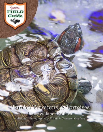 Turtles Terrapins & Tortoises - Cameron Goddard - Ethan Goddard - Jane Goddard - Lance Goddard