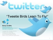 Tweetie Birds Learn To Fly! Learn Twitter In 5 Minutes For Web Ministry