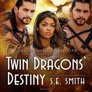 Twin Dragons' Destiny - S.E. Smith