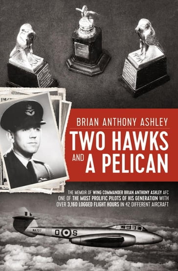 Two Hawks and a Pelican - Brian Anthony Ashley