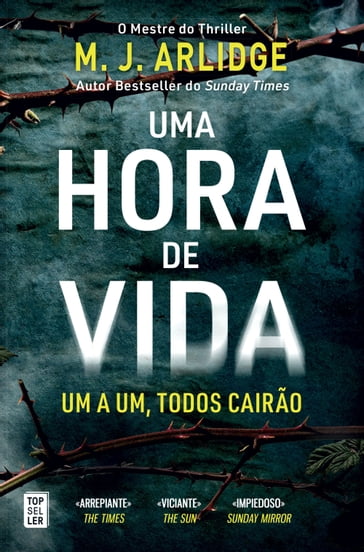 Uma Hora de Vida - M.J. Arlidge