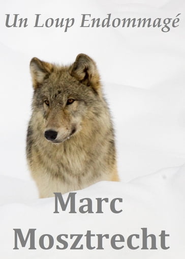Un Loup Endommagé - Marc Mosztrecht