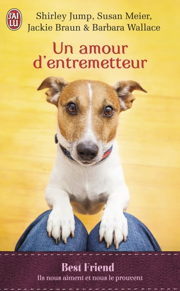 Un amour d'entremetteur - Barbara Wallace - Jackie Braun - Shirley Jump - Susan Meier