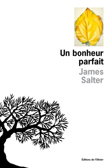 Un bonheur parfait - James Salter