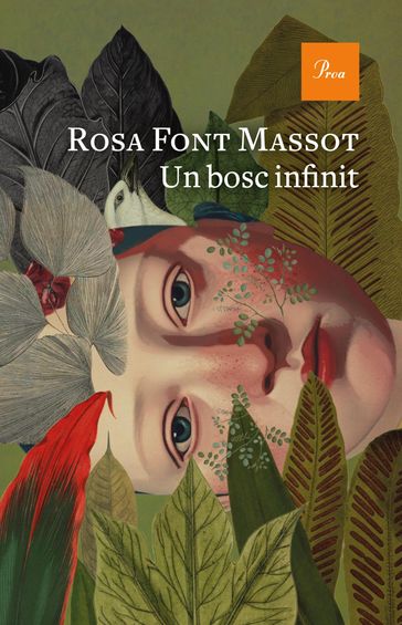 Un bosc infinit - Rosa Font Massot