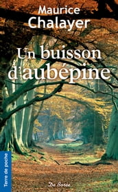 Un buisson d aubépine