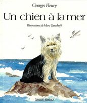 Un chien à la mer